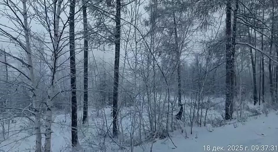 �� ������ ����� ���������� ������������, ���� ��������� ���������� - �� ���� ������� �������� ��� "������������" ���� ����������