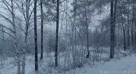 На данное время возгорание локализовано, идет небольшое задымление - об этом доложил директор МКУ "Жилкомсервис" Юрий Спиридонов