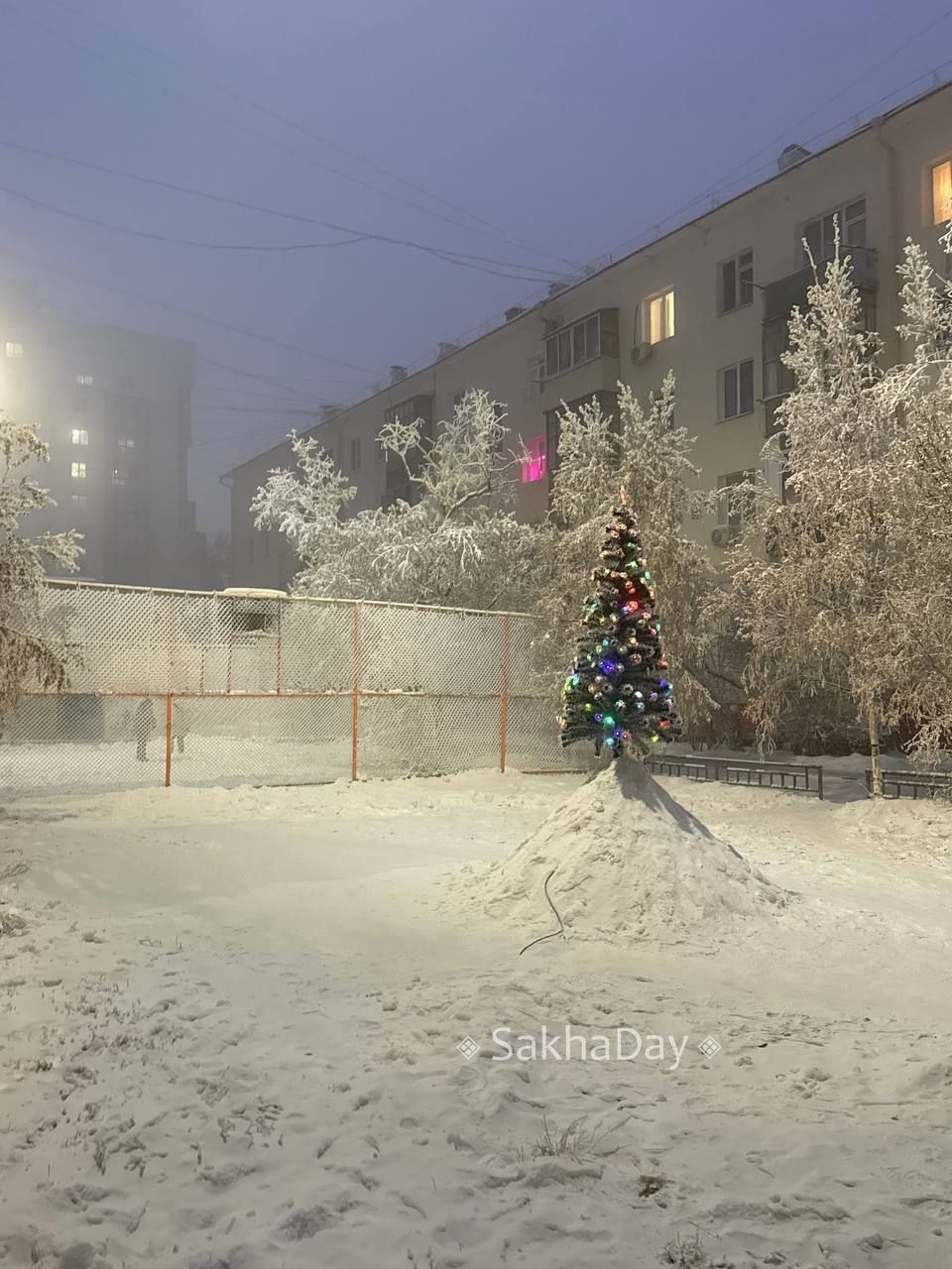 Милая елочка на Дзержинского