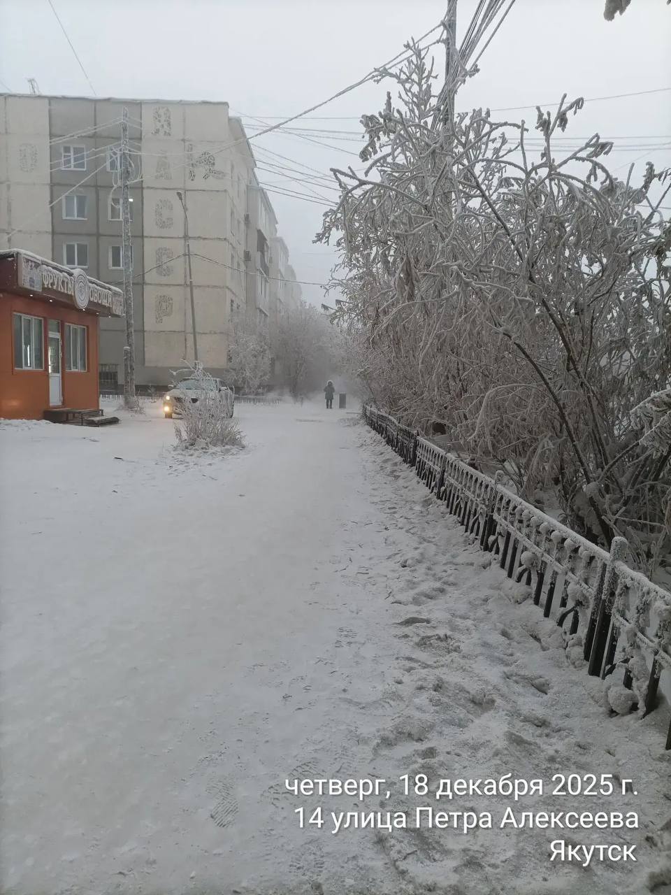 Ежедневная работа муниципальных дворников Ежедневная работа муниципальных дворников