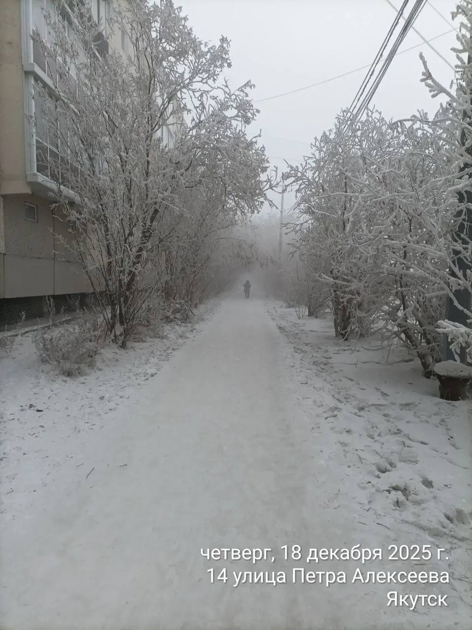 Ежедневная работа муниципальных дворников Ежедневная работа муниципальных дворников