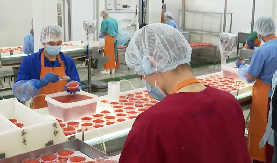 #советуют Ил Дархану: #советуют Ил Дархану: