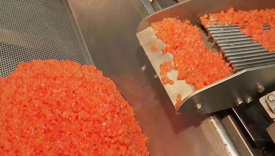 #советуют Ил Дархану: #советуют Ил Дархану: