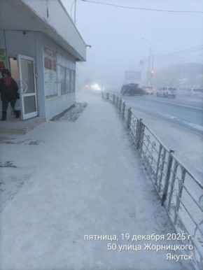 Ежедневная работа муниципальных дворников