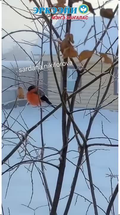 ����� ����������� �� ���� ���� ������ ���� �� ���� �������� ������ ��������� �������� ���������