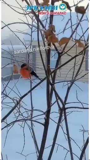 ����� ����������� �� ���� ���� ������ ���� �� ���� �������� ������ ��������� �������� ���������