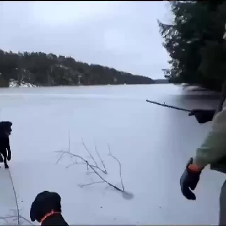 ��� ����������?