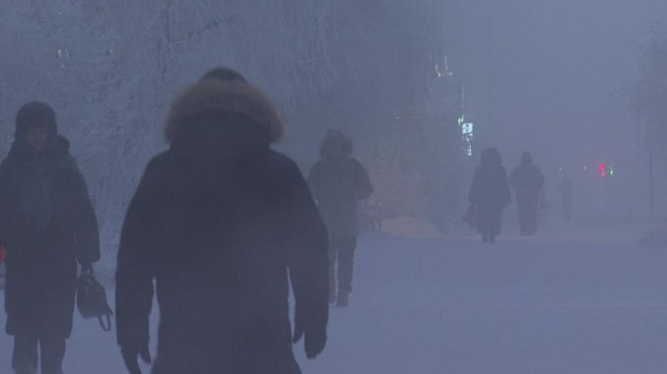 20 ������� ������������ ���� ��� �������� 1-5 �������