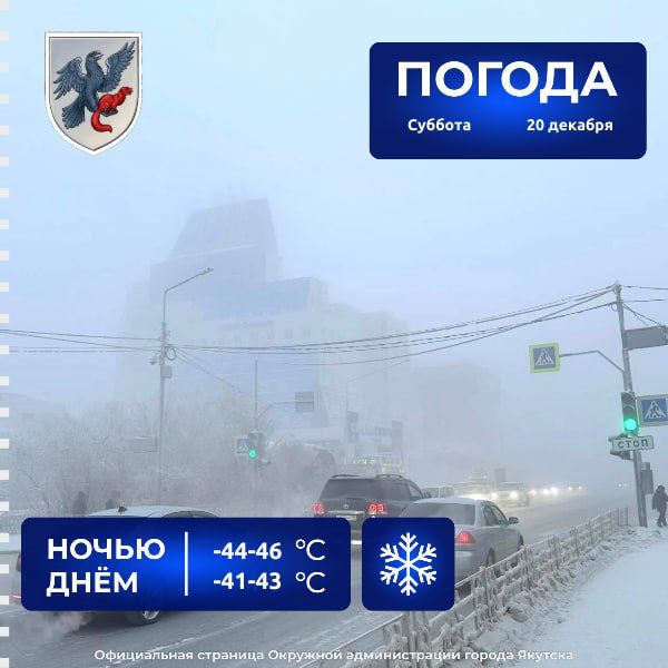 ������� ������ � ������� �� 20 �������