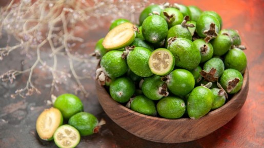 � ������� ������ ������ �� ������������: ���������� ������� �����