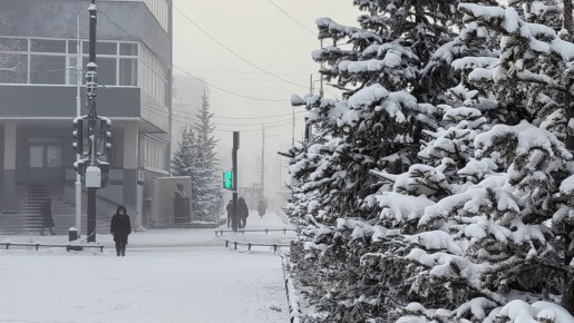 ������� ������ � ������� �� 20 �������