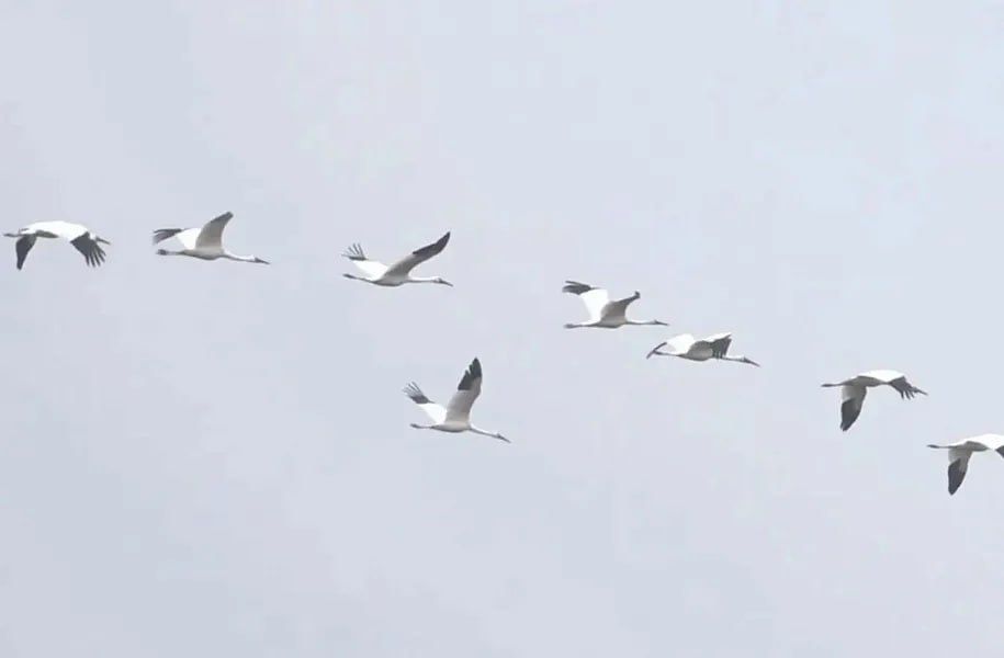 1 � ������ � ������ ������� ������ ������ �������� ������� �����������