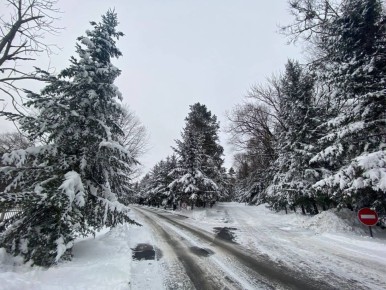 ������ ����, ������!. ������� � ������� ��������� ����, �����