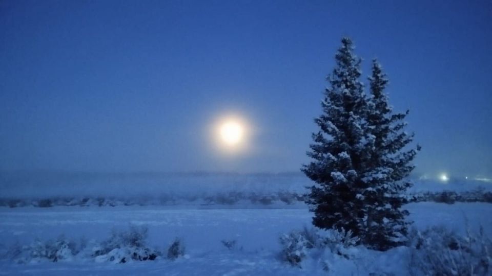 ������� ����� �������� ������������� ����� �������� ���� 2025 ���� � ���� ������� �������������