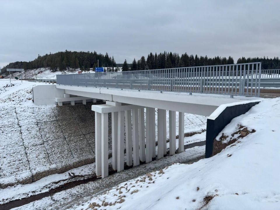 ����� �� ������ ����� ������� ������ ������ � ������