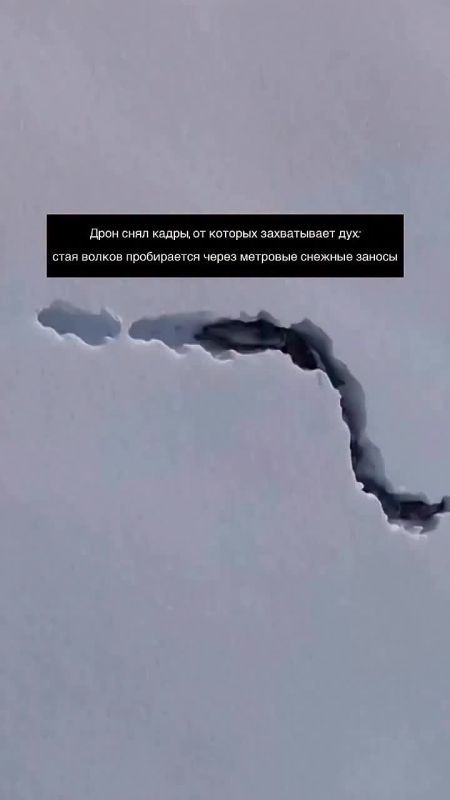 ������ ���� � �������� �������� ���������: ���� ��������� �� �������