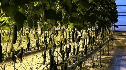 �������������� ��������� �������� ����� � ����������� ������� ������