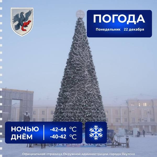 ������� ������ � ������� �� 22 �������