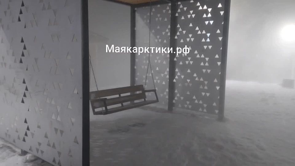 � ����� �� ������ ���� �������� �� ������ ������ ����� �����, �������� ����� ��������� 35 �/�, ������ ���������� ��������������