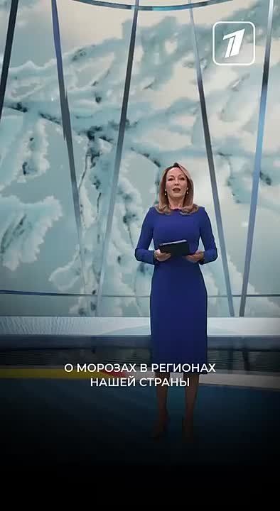 ������ ����� ����� �������� ������ �� �������: ��� ������������� -56 ��������