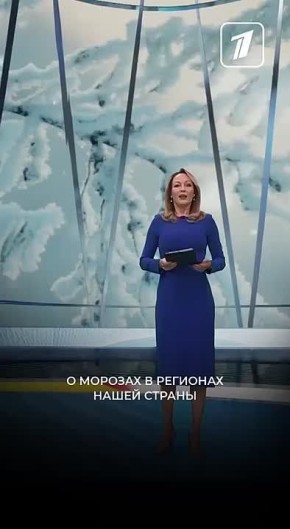 ������ ����� ����� �������� ������ �� �������: ��� ������������� -56 ��������