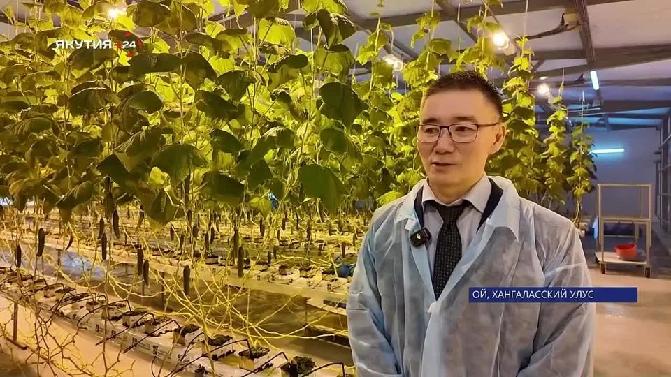 �������. ������� � �������� ��������� ������ ��������� �������������� ��������� ��������: ����� ������ �������� ����� ������ ���������� ������ �������� � ���� �� ������������� ����� ����� ��� �������� ������ ������ �������...