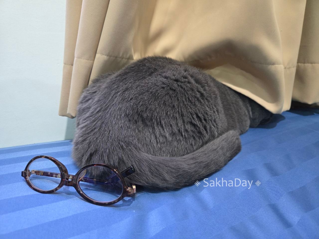 Придумайте подпись к фото. @sakhaday