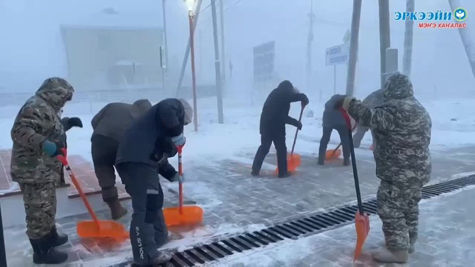 ���� �����������