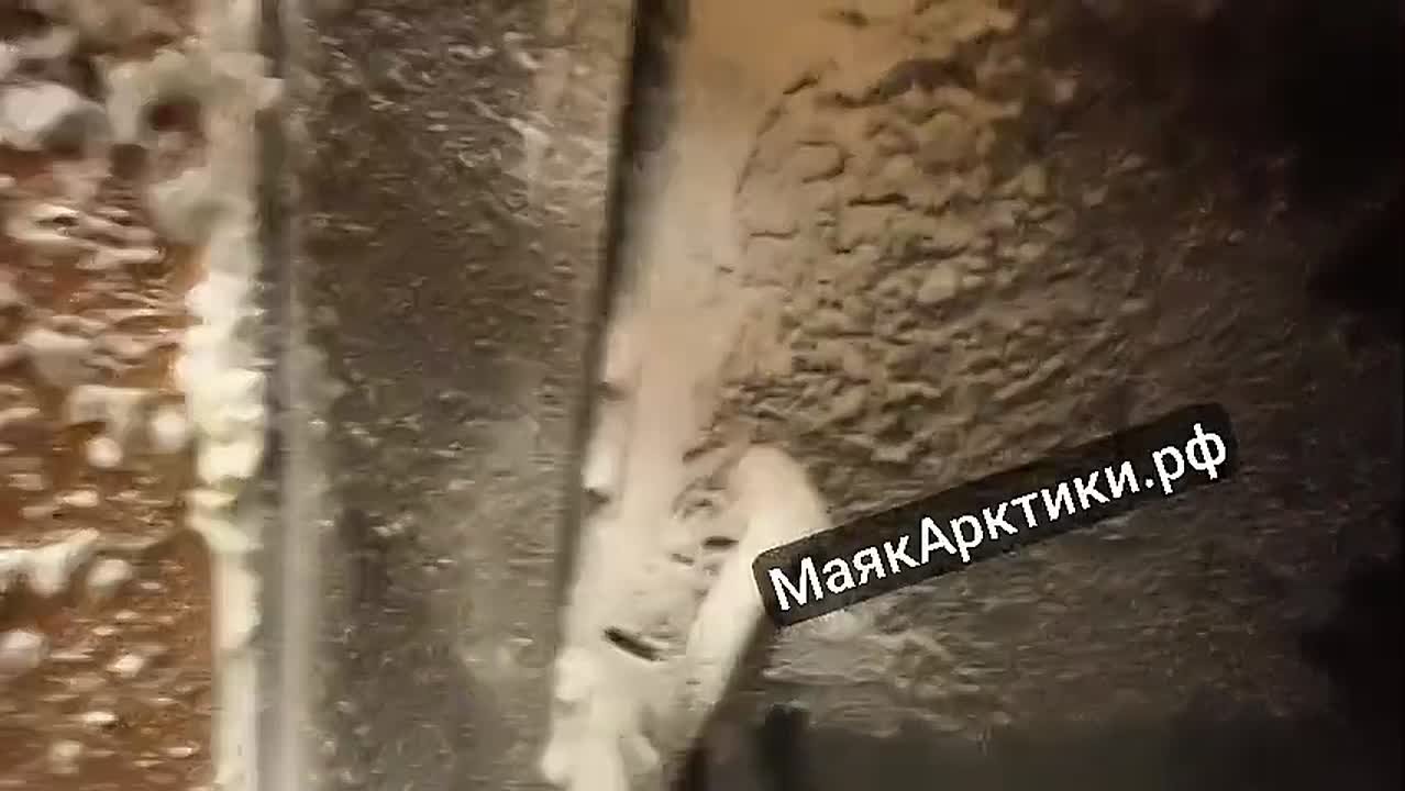 «Видимость ноль»: редакция «Маяк Арктики» проверила на себе условия полярной пурги