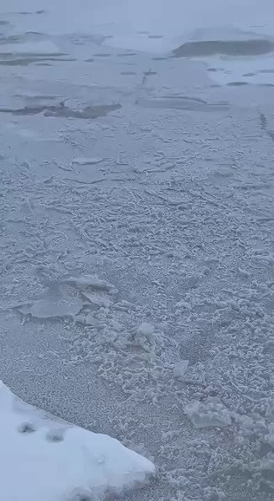 �������� ����� ������������ �� ����� ����������� � ������