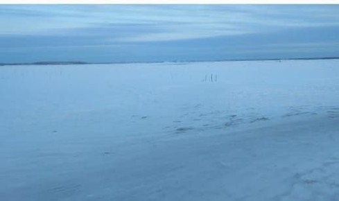 � ������������ ������ ������ ����� ������