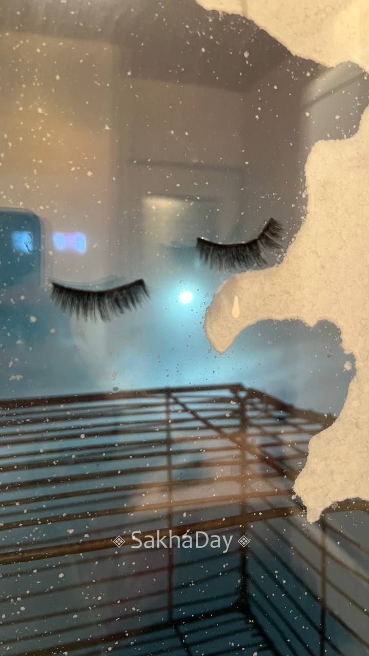 #пишут Немного о любимом Тикси #пишут Немного о любимом Тикси