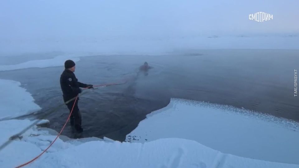 ���� ������ �� ���������� ����������, ����������� � �������, ����� �� ������