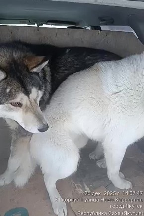 ������ �� ������ ������������ �������� � ���������� ������ ������������