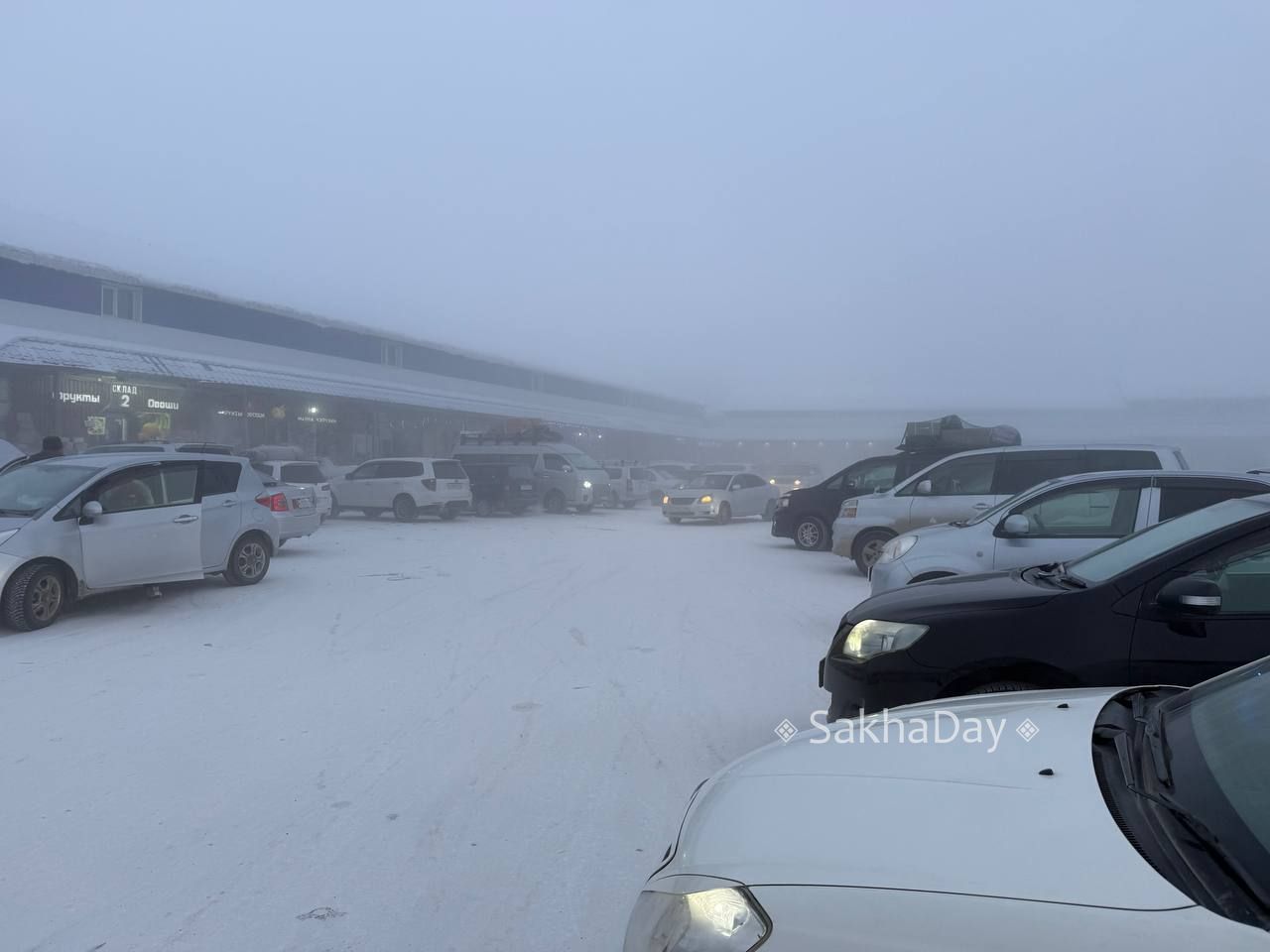 Ажиотаж на Билибина у фруктовиков Ажиотаж на Билибина у фруктовиков