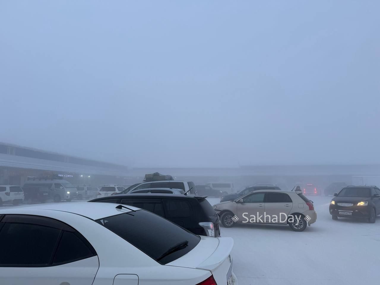 Ажиотаж на Билибина у фруктовиков Ажиотаж на Билибина у фруктовиков