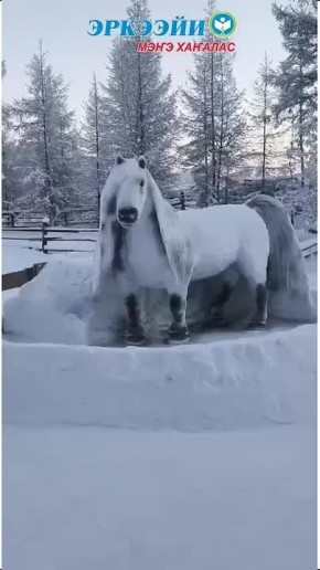 ������ ��� �������� �������� - ������� �������� � ���������, �� �����, � ������������ �����