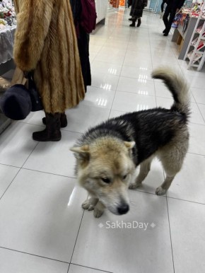 #����� ����� ��� �� ������� ������ � 1000 �������, � ���������