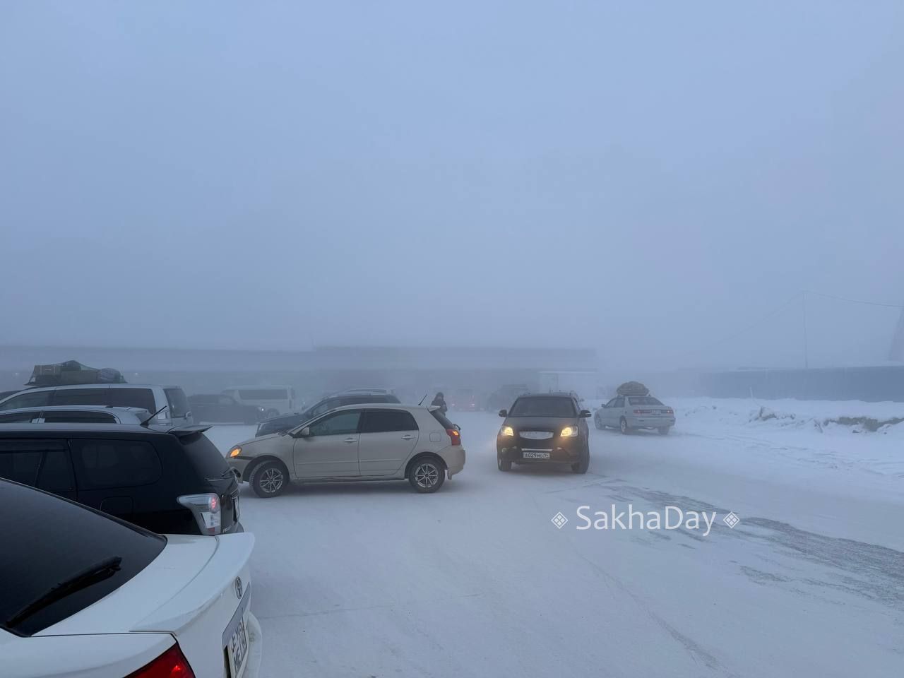 Ажиотаж на Билибина у фруктовиков