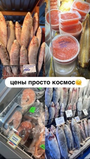 ��� �� �����? #���� ����������