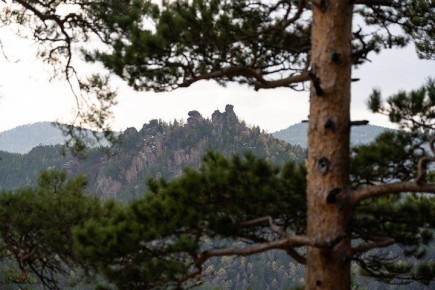 ������ ������� ������� �� ������������������ � ������ � 2025 ����