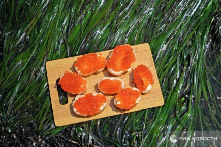 "������� ���� �� ������������� ������ � ������"