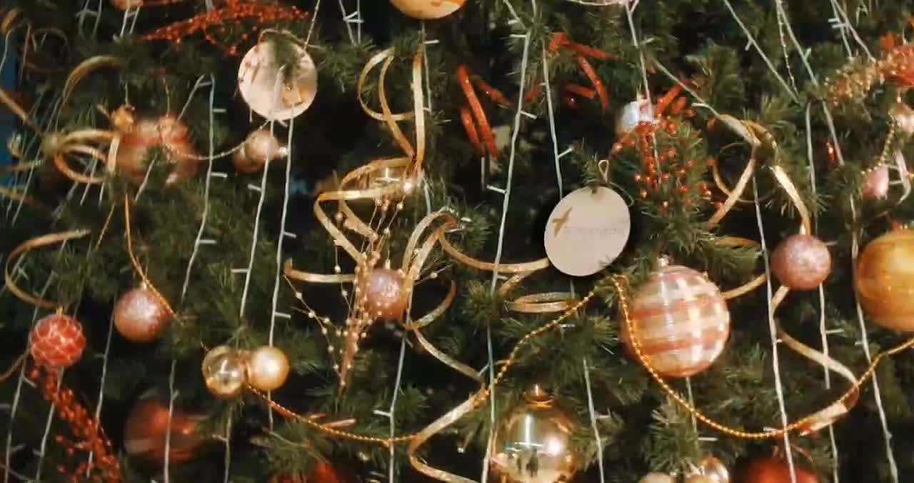 Мы всегда знали, что Дед Мороз — человек занятой