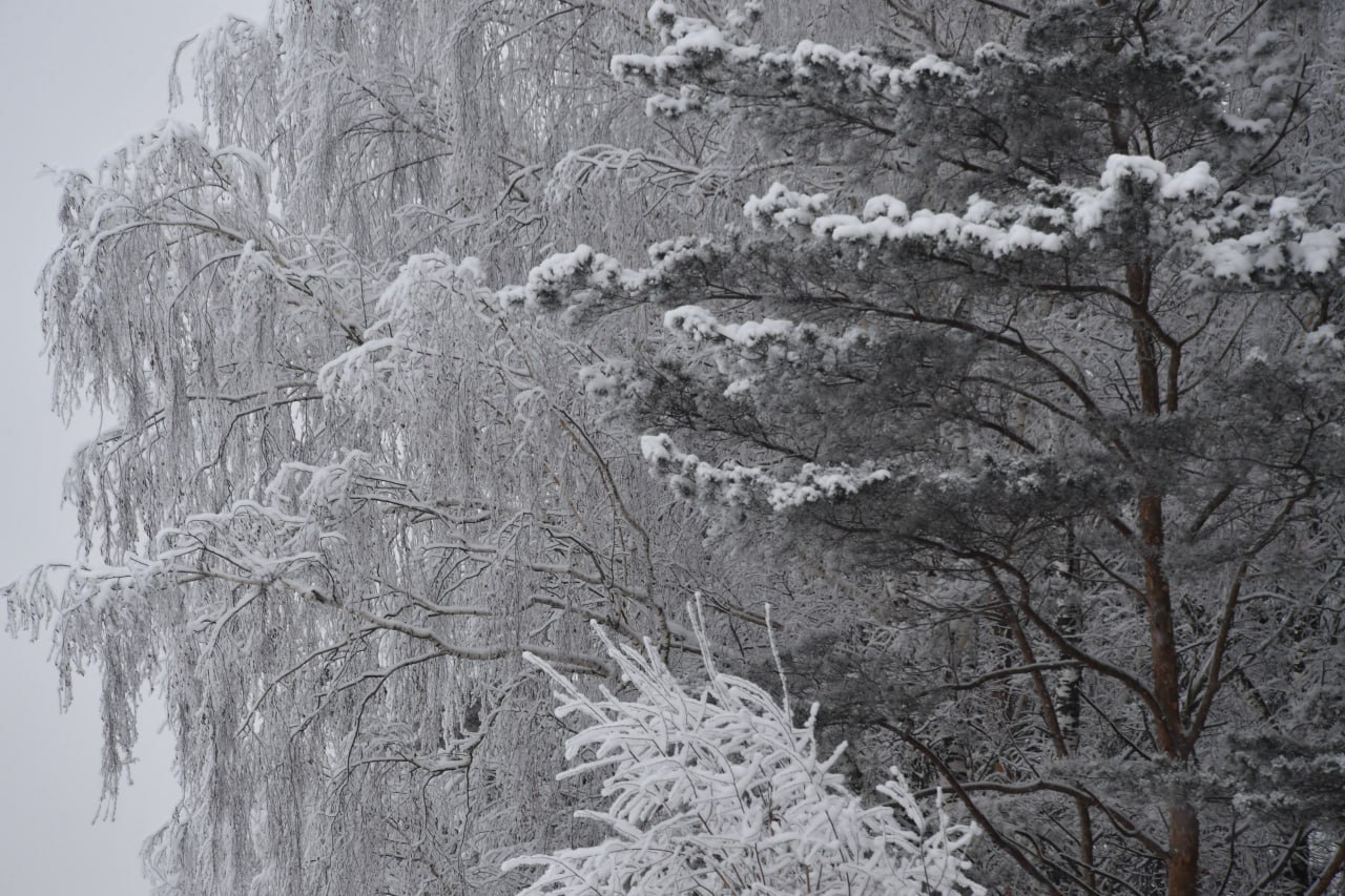 В Якутии 3 января ожидается метель и усиление ветра