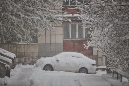 ������ ����, ������!. ������� � ������� ����� ��������� ����, ����� ������-�������� 3-8 ������ � �������