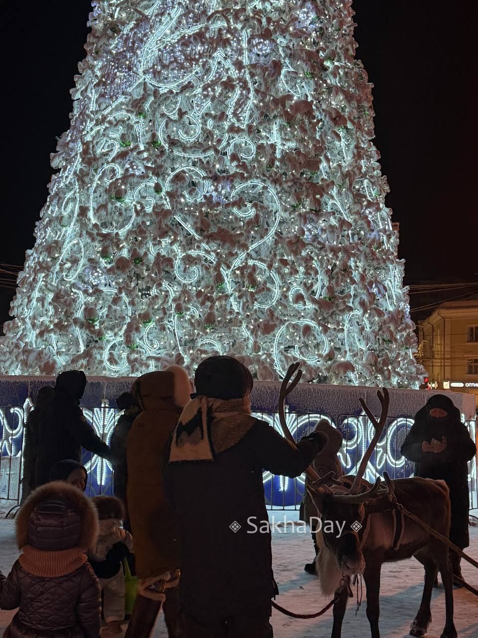 Прогулка по Орджоникидзе: несмотря на холод и ветер гуляющих много Прогулка по Орджоникидзе: несмотря на холод и ветер гуляющих много