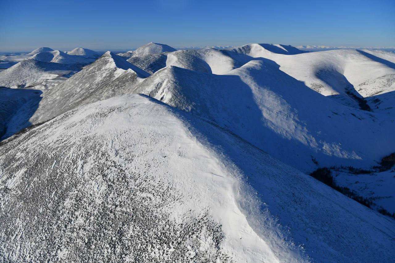 Изучение природы Южной Якутии Изучение природы Южной Якутии