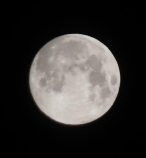 #�����. ��� ��������� 7 ���� 30 ����� �� ������ ���������, ������� ��������� ������� "��� ���������" �������� �������� ������� ������ �����