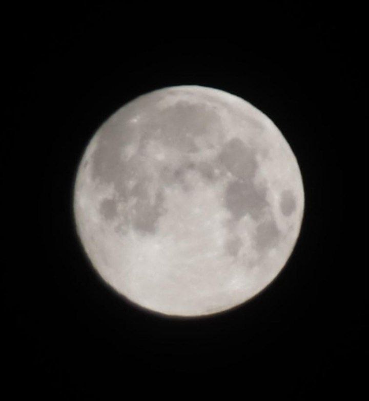 #айыла. Бгн сарсыарда 7 чаас 30 мнтээ ый толору туолбутун, Чурапчы нэилиэгин чуолаан "Саа дэриэбинэ" томторун олохтооо Николай Гуляев ыытта