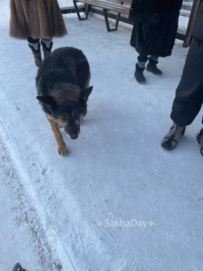 #����� �� ��������� ������� ������ ���������� ������